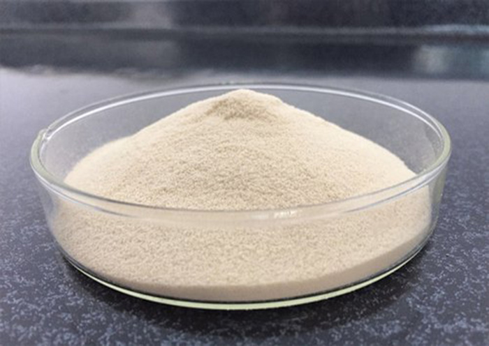 thành phần Silk Protein